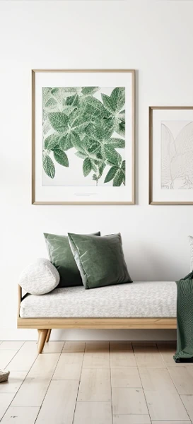 A bright white room featuring lush green plants and a comfortable couch